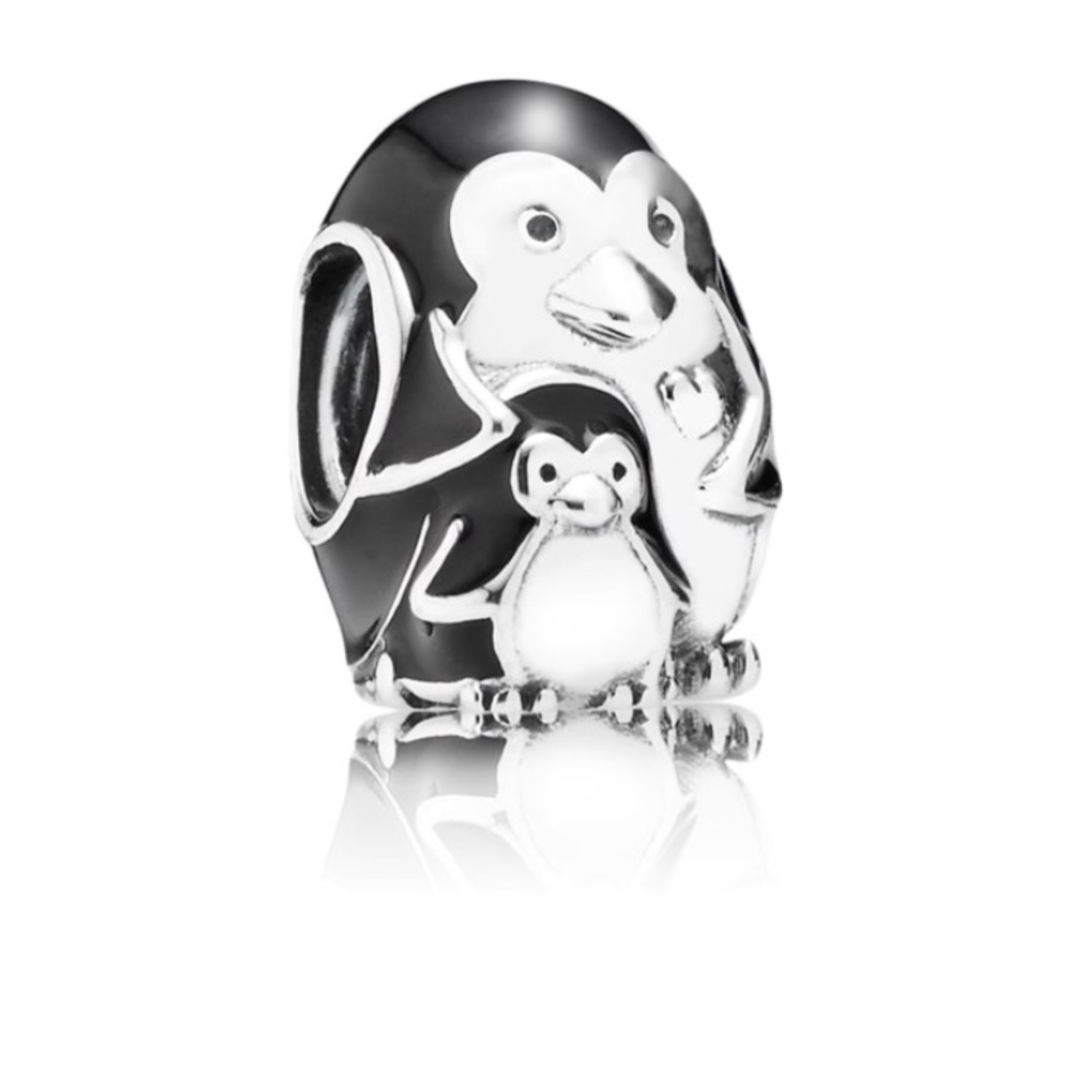 DISCONTINUED Pandora Charm
